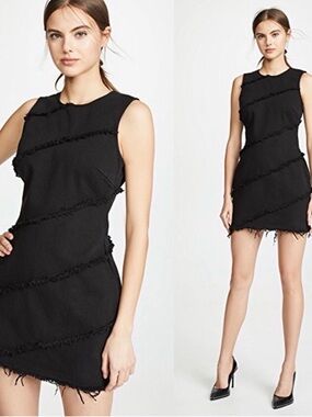 Alexander Wang Sleeveless Black Denim Shift Dress a perfect LBD! size US10